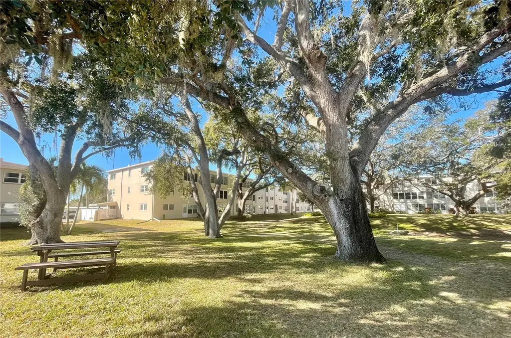 920 Virginia Street Dunedin FL 34698