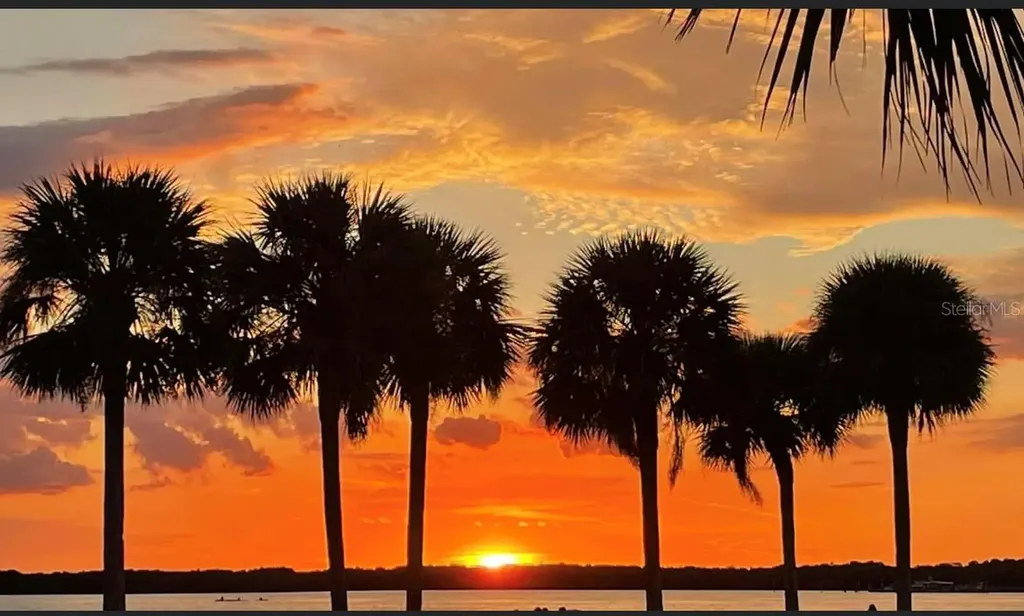 920 Virginia Street Dunedin FL 34698