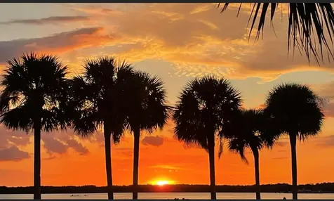 920 Virginia Street Dunedin FL 34698