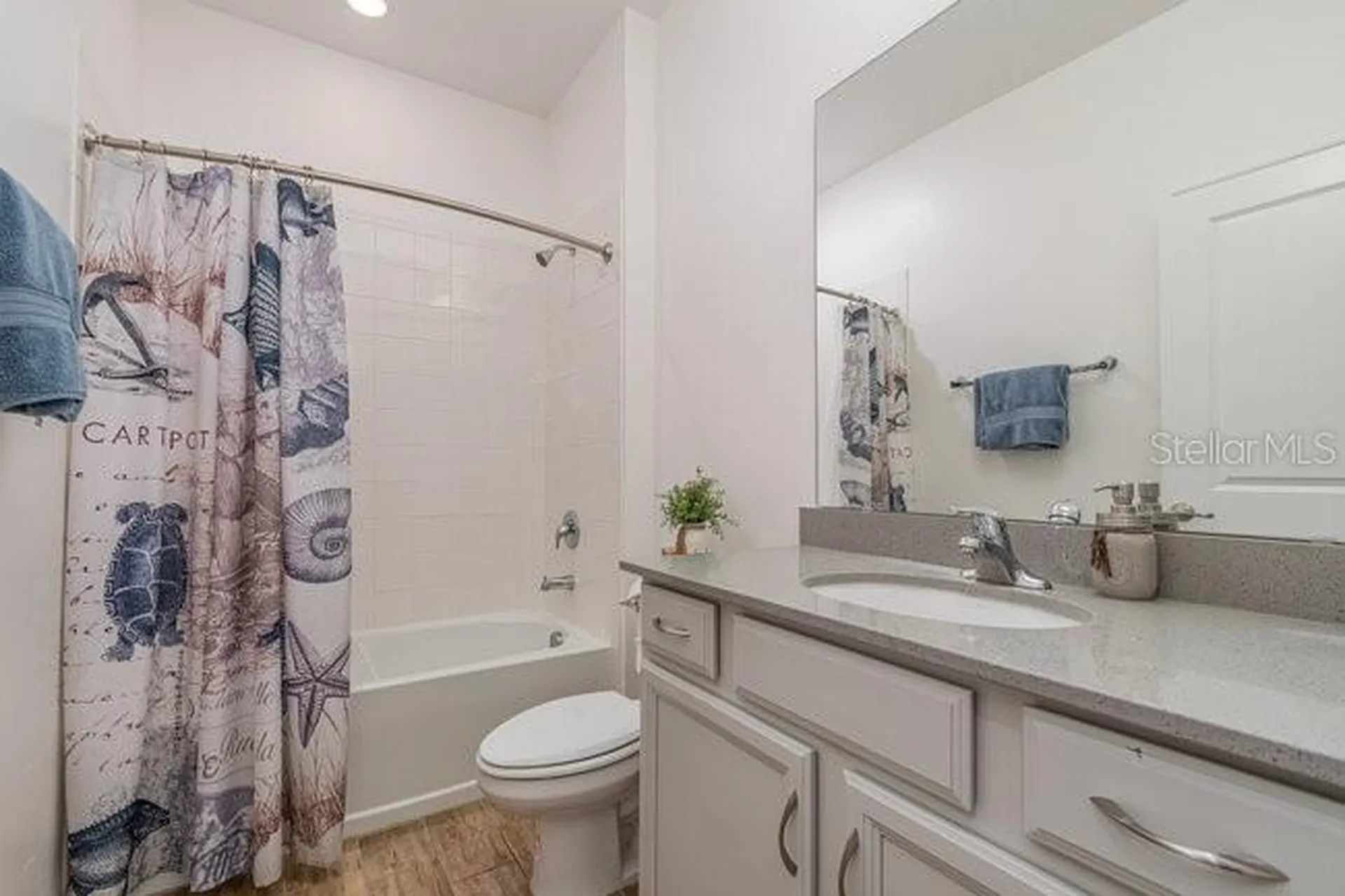 2392 Sirena Lane Mount Dora FL 32757
