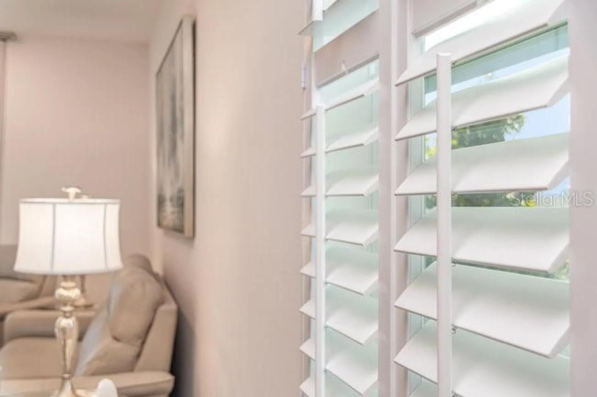 2392 Sirena Lane Mount Dora FL 32757