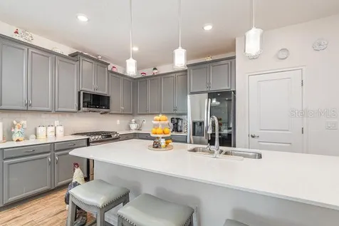 2392 Sirena Lane Mount Dora FL 32757