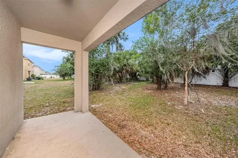 10212 Hawk Storm Avenue Tampa FL 33610