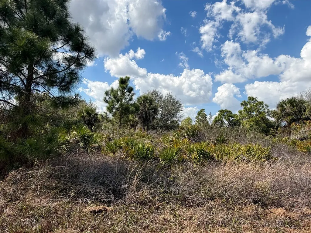 524 Columbus Boulevard S Lehigh Acres FL 33974