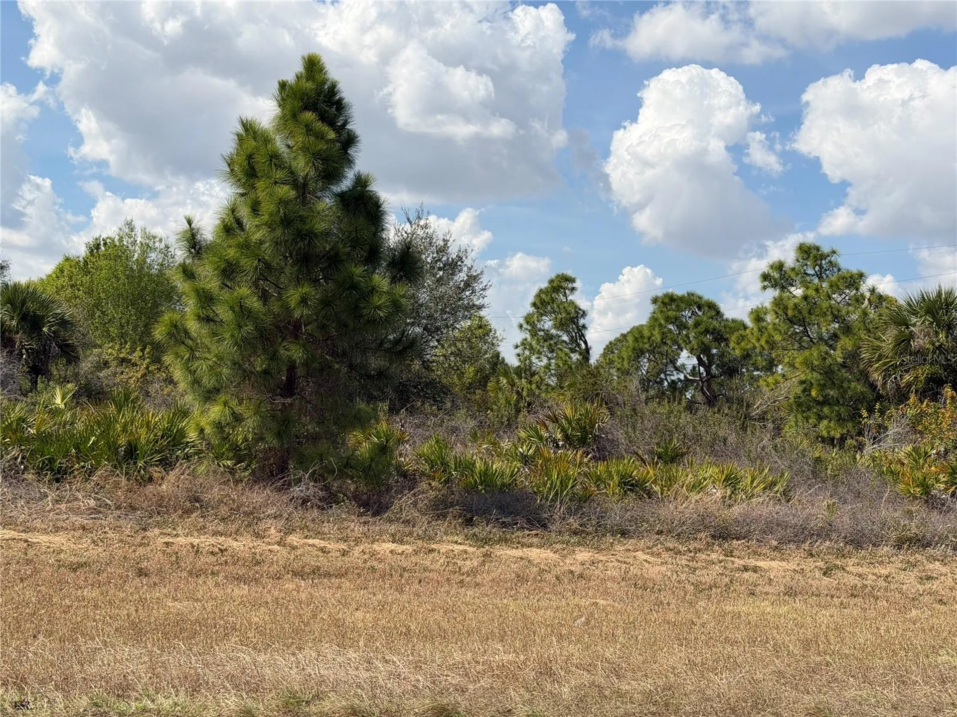 524 Columbus Boulevard S Lehigh Acres FL 33974