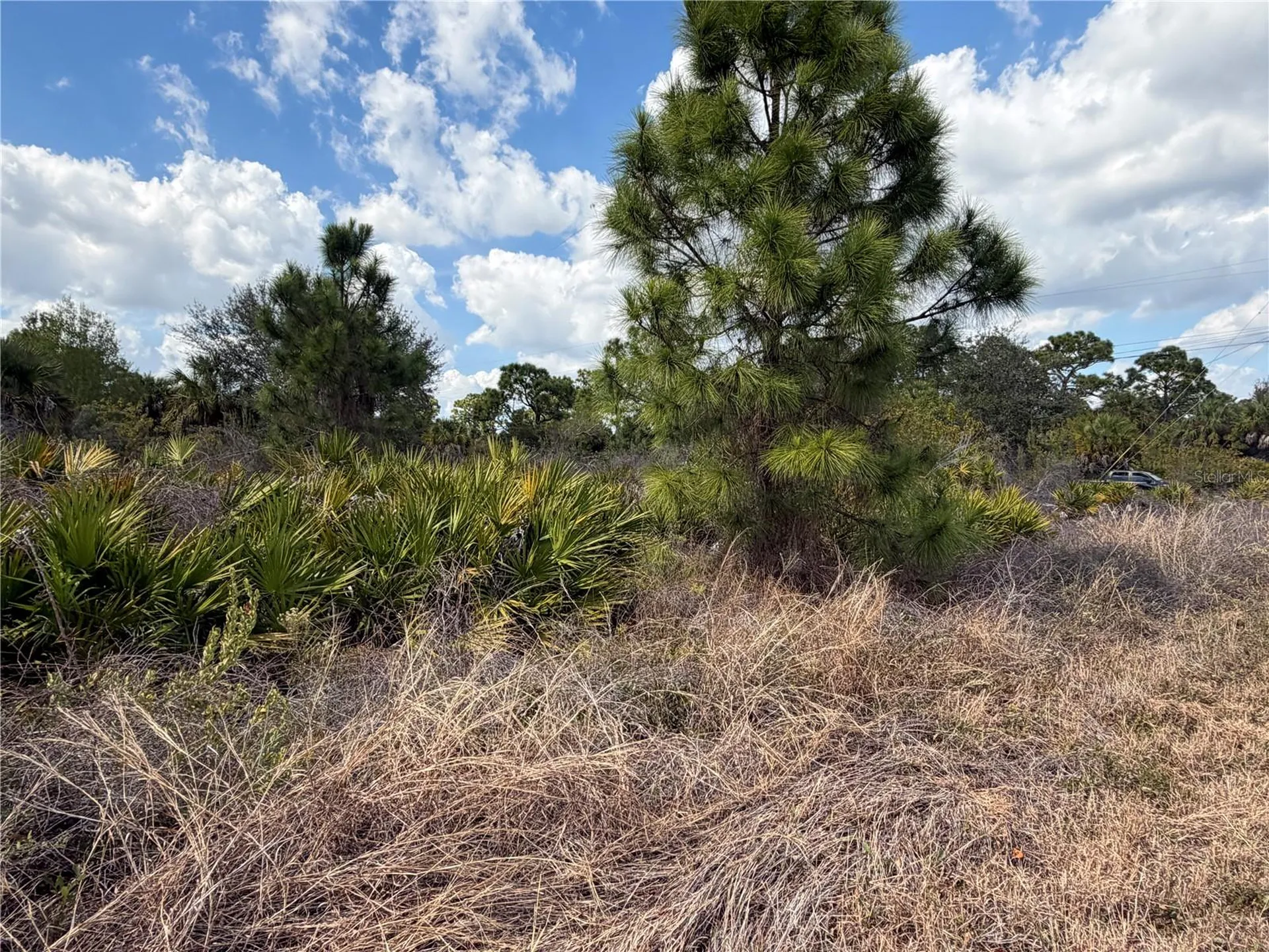524 Columbus Boulevard S Lehigh Acres FL 33974