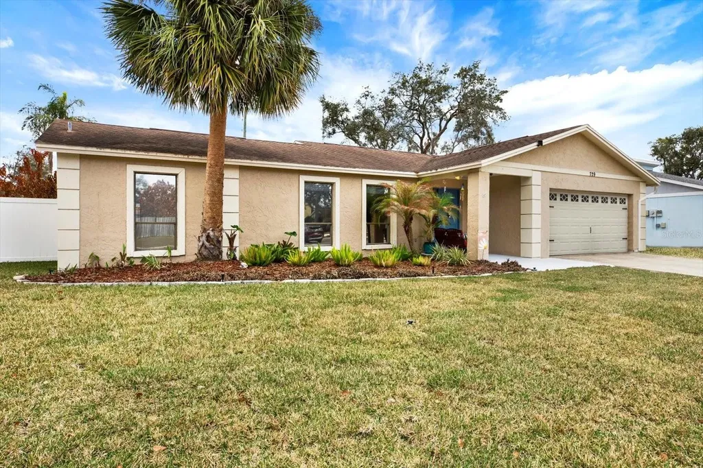 729 Sandy Creek Drive Brandon FL 33511