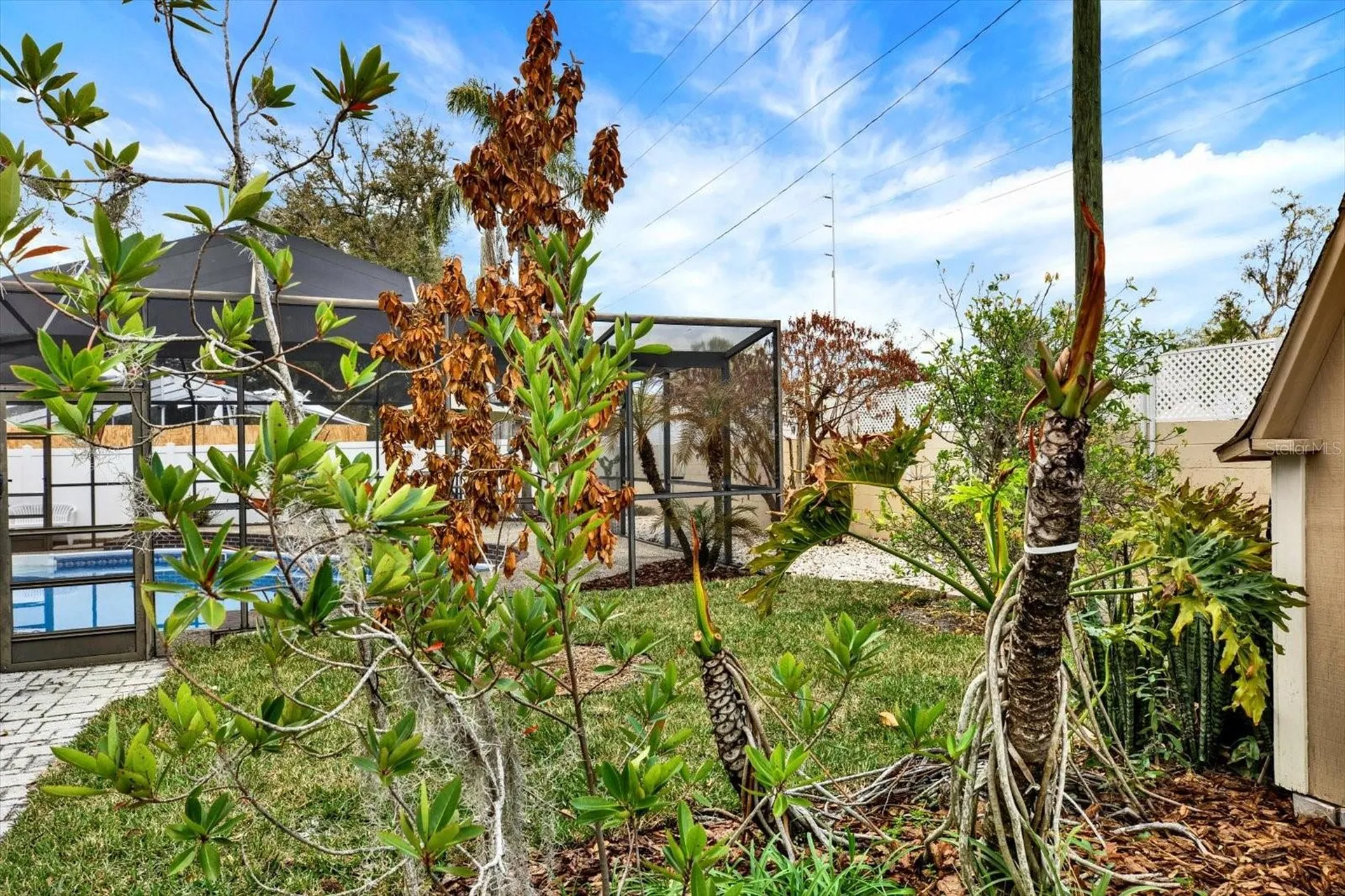 729 Sandy Creek Drive Brandon FL 33511
