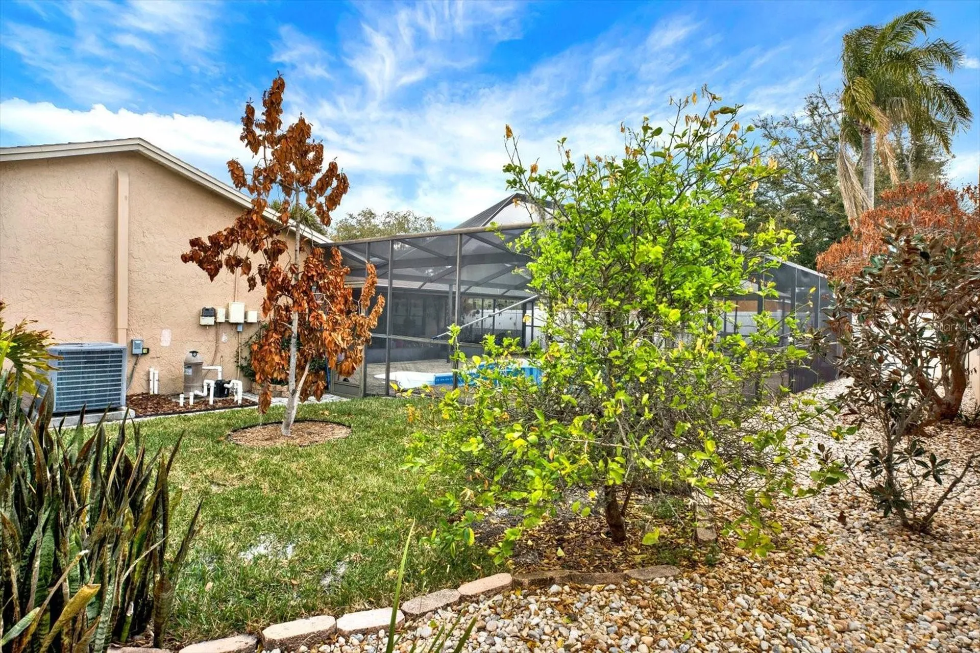 729 Sandy Creek Drive Brandon FL 33511