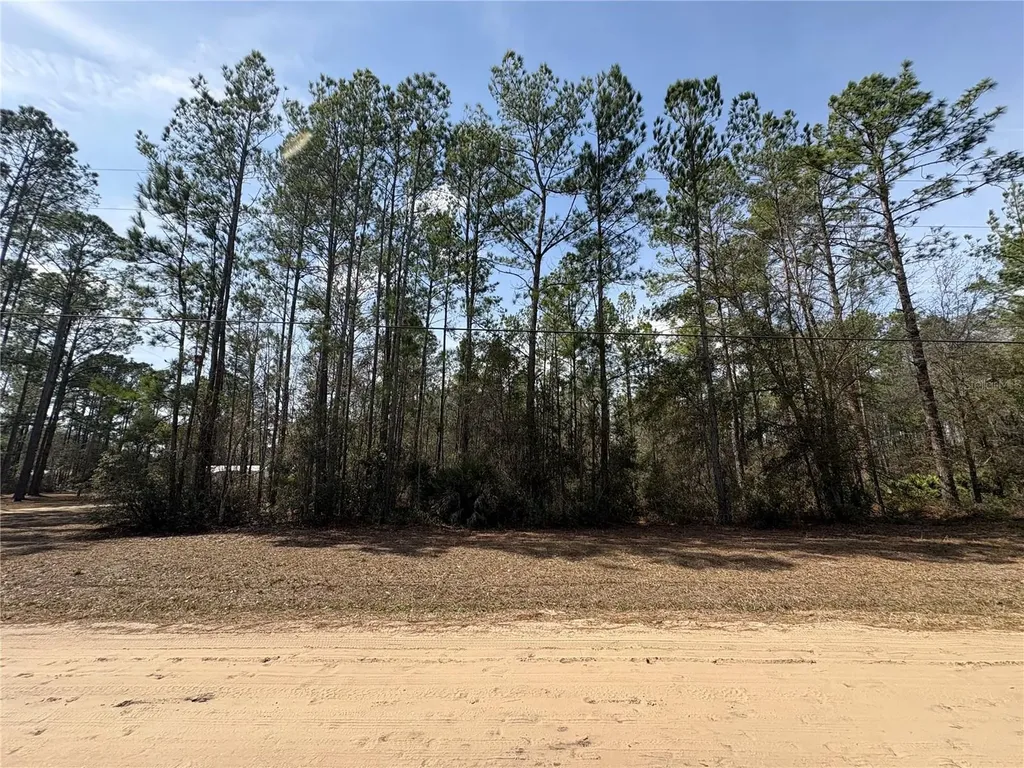 4385 Bondarenko Road Keystone Heights FL 32656
