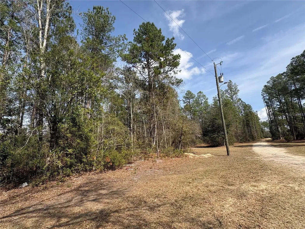 4385 Bondarenko Road Keystone Heights FL 32656