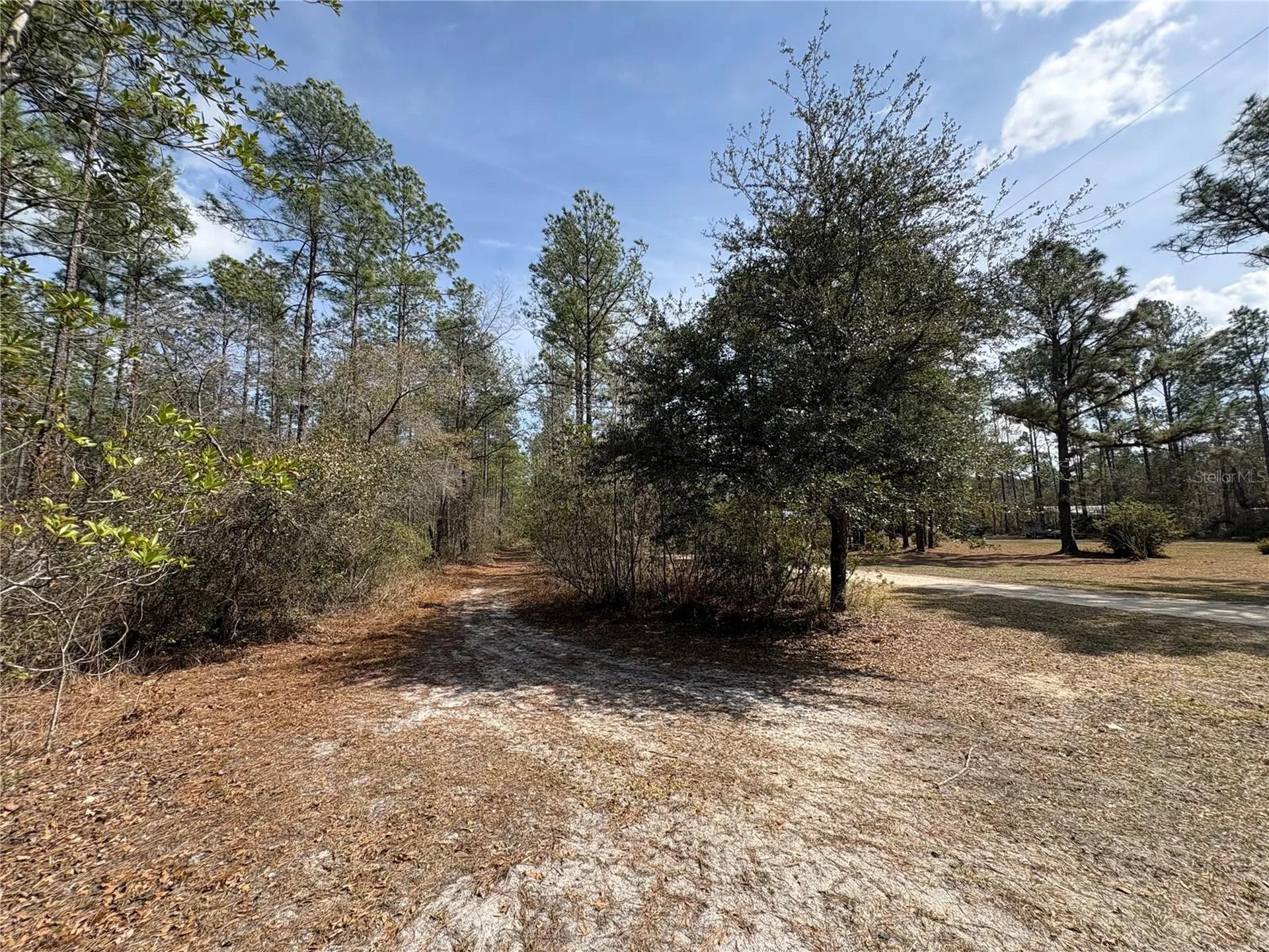 4385 Bondarenko Road Keystone Heights FL 32656