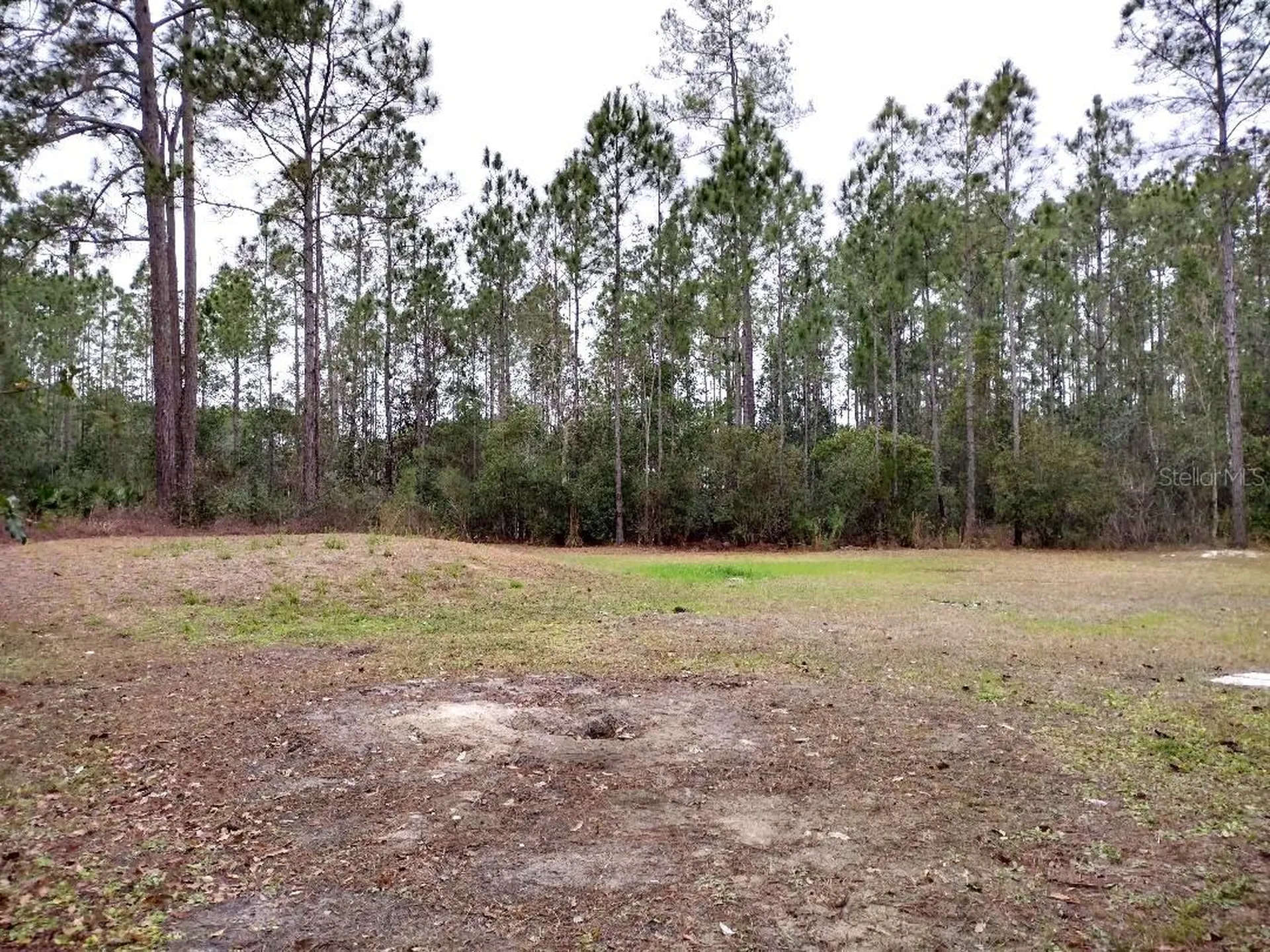 1568 Hazelnut Street Bunnell FL 32110