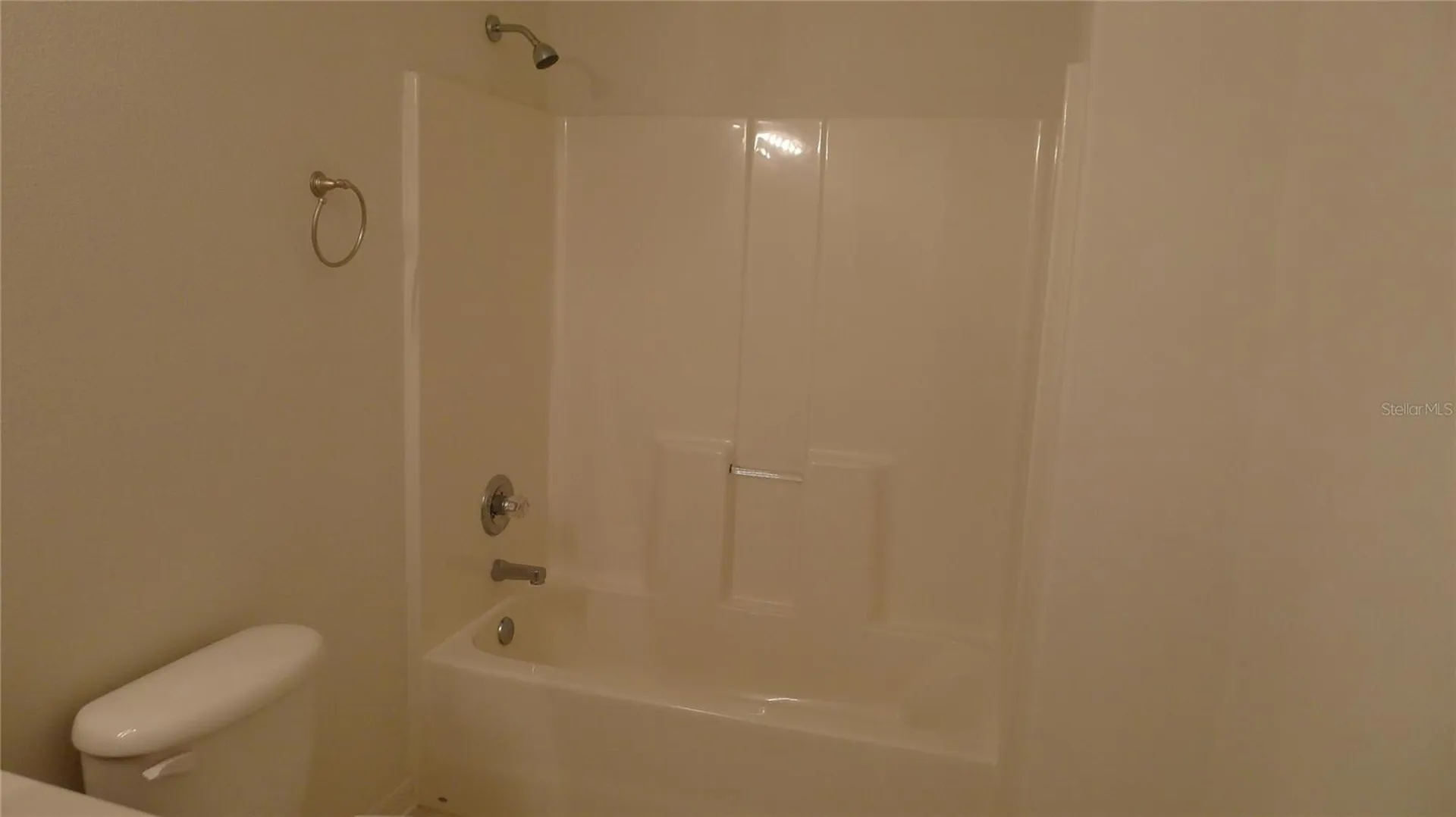 11164 Golden Silence Drive Riverview FL 33579