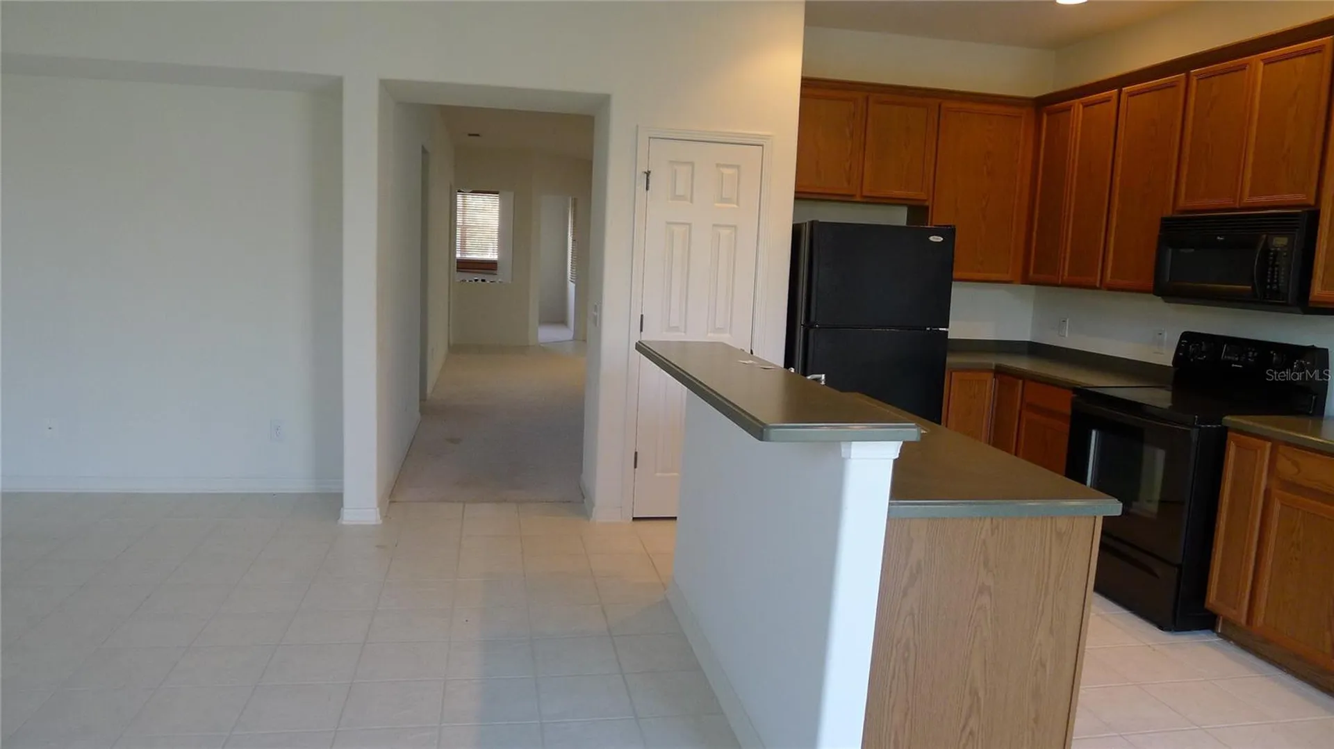 11164 Golden Silence Drive Riverview FL 33579