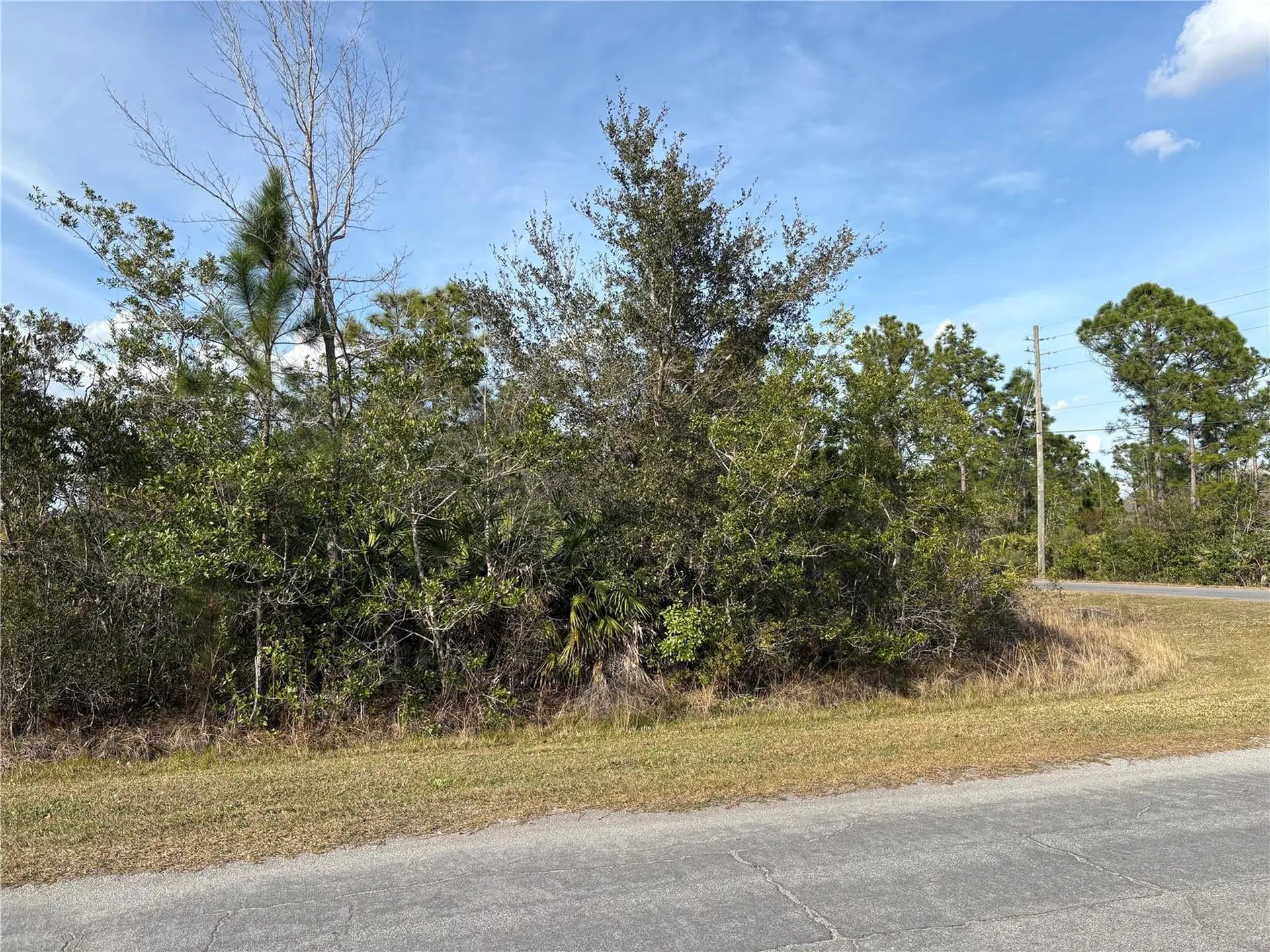 Odham Street Orlando FL 32833