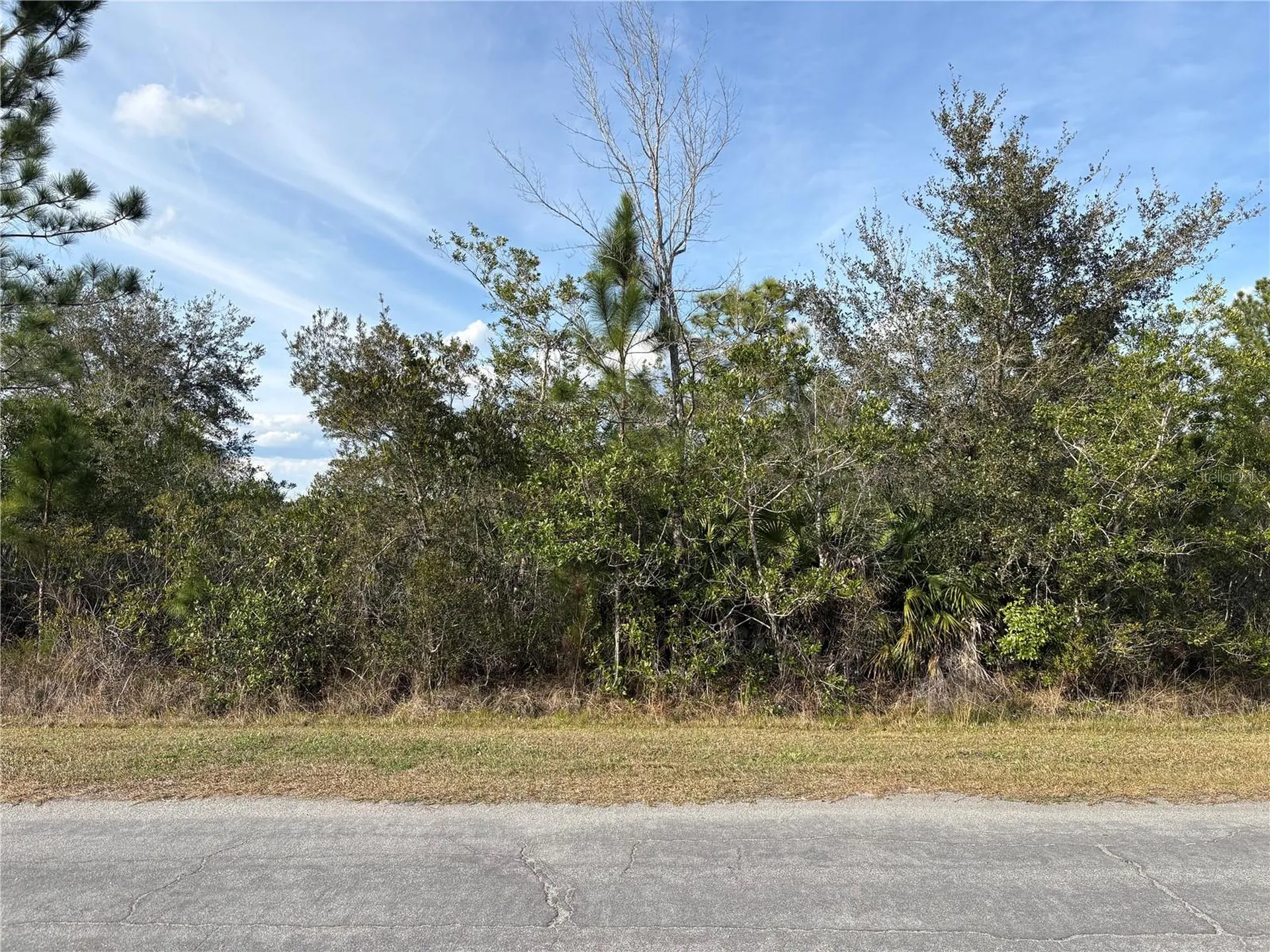 Odham Street Orlando FL 32833