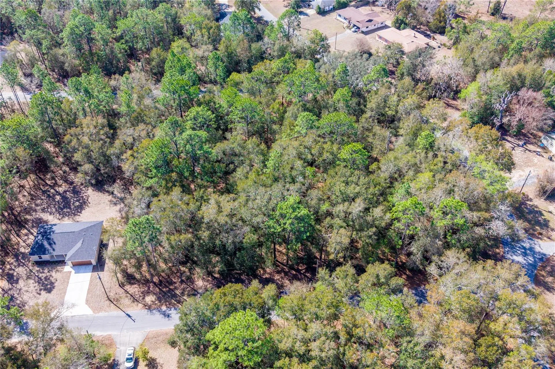 Tbd NE 2nd St, Lot 10 Williston FL 32696