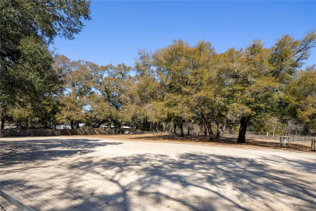 4495 SE 150th Street Summerfield FL 34491