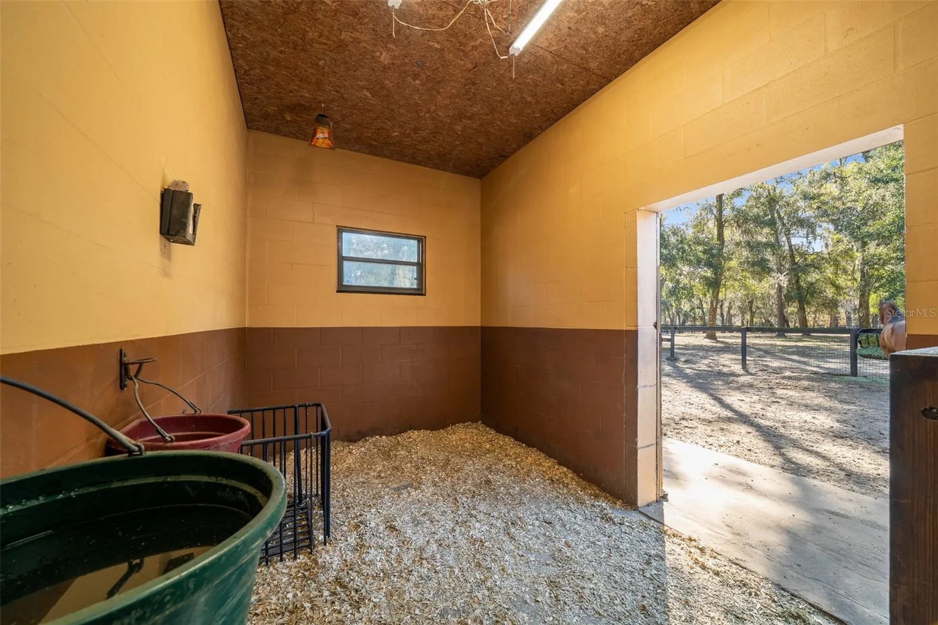 3551 E Highway 329 Anthony FL 32617