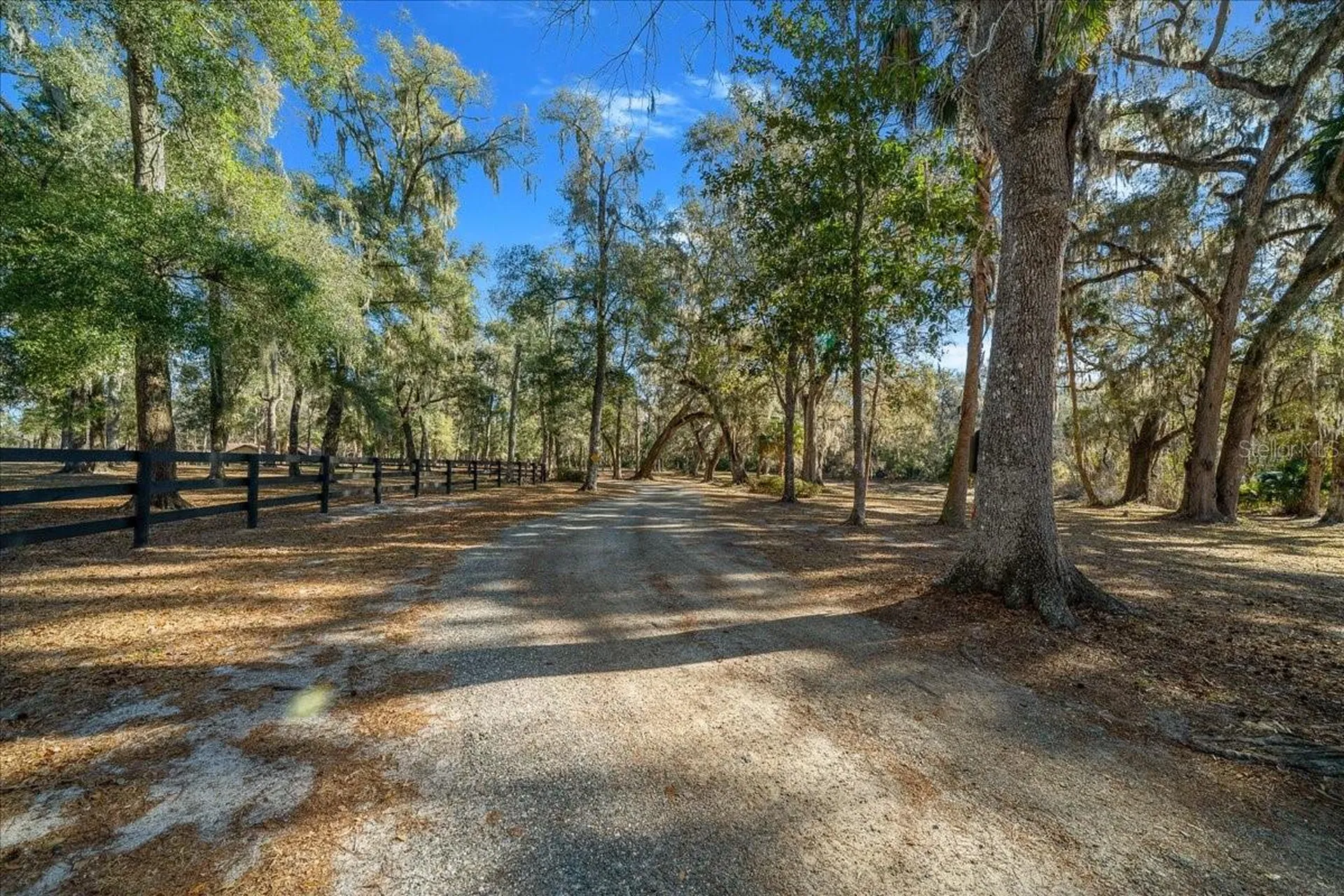 3551 E Highway 329 Anthony FL 32617