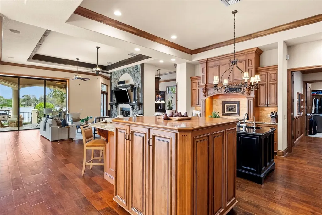 9902 Menander Wood Court Odessa FL 33556