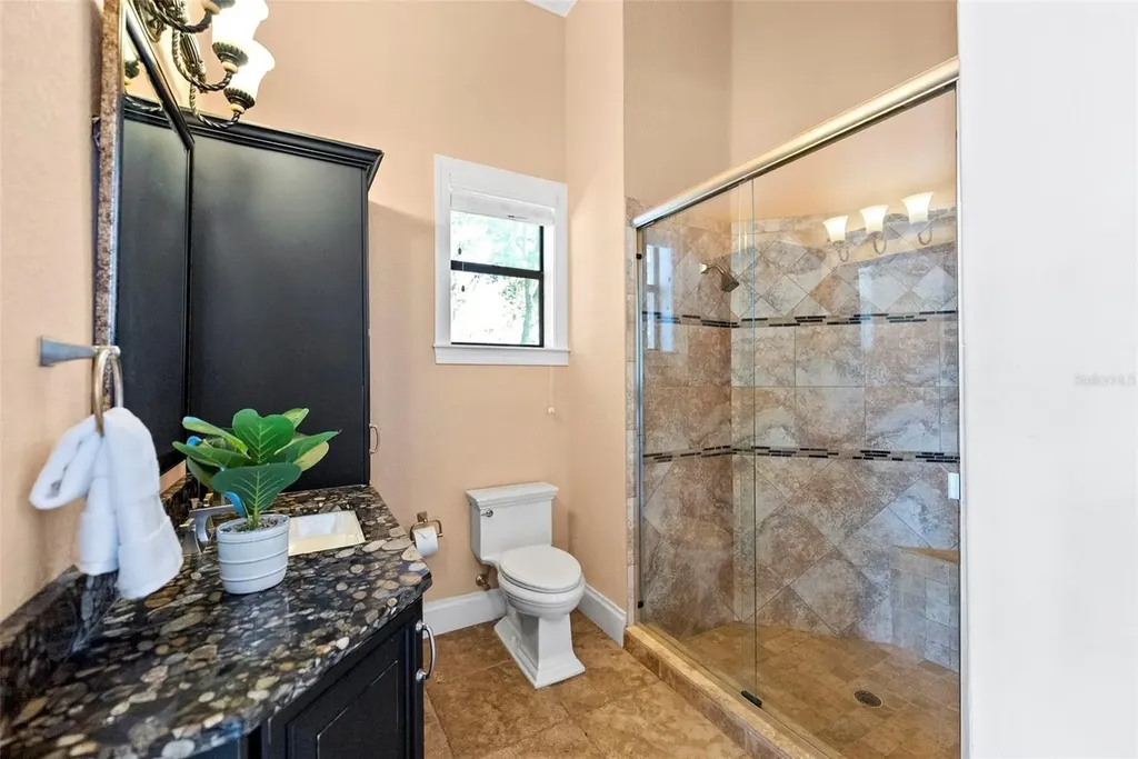 9902 Menander Wood Court Odessa FL 33556