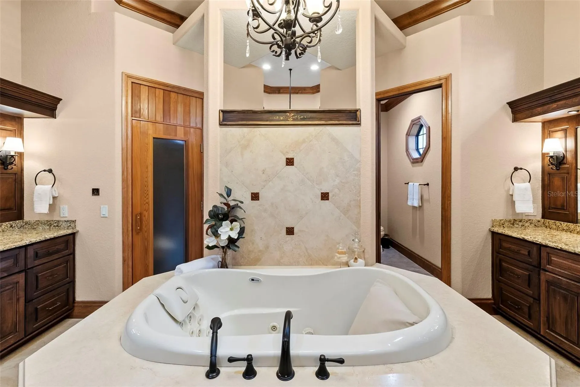 9902 Menander Wood Court Odessa FL 33556