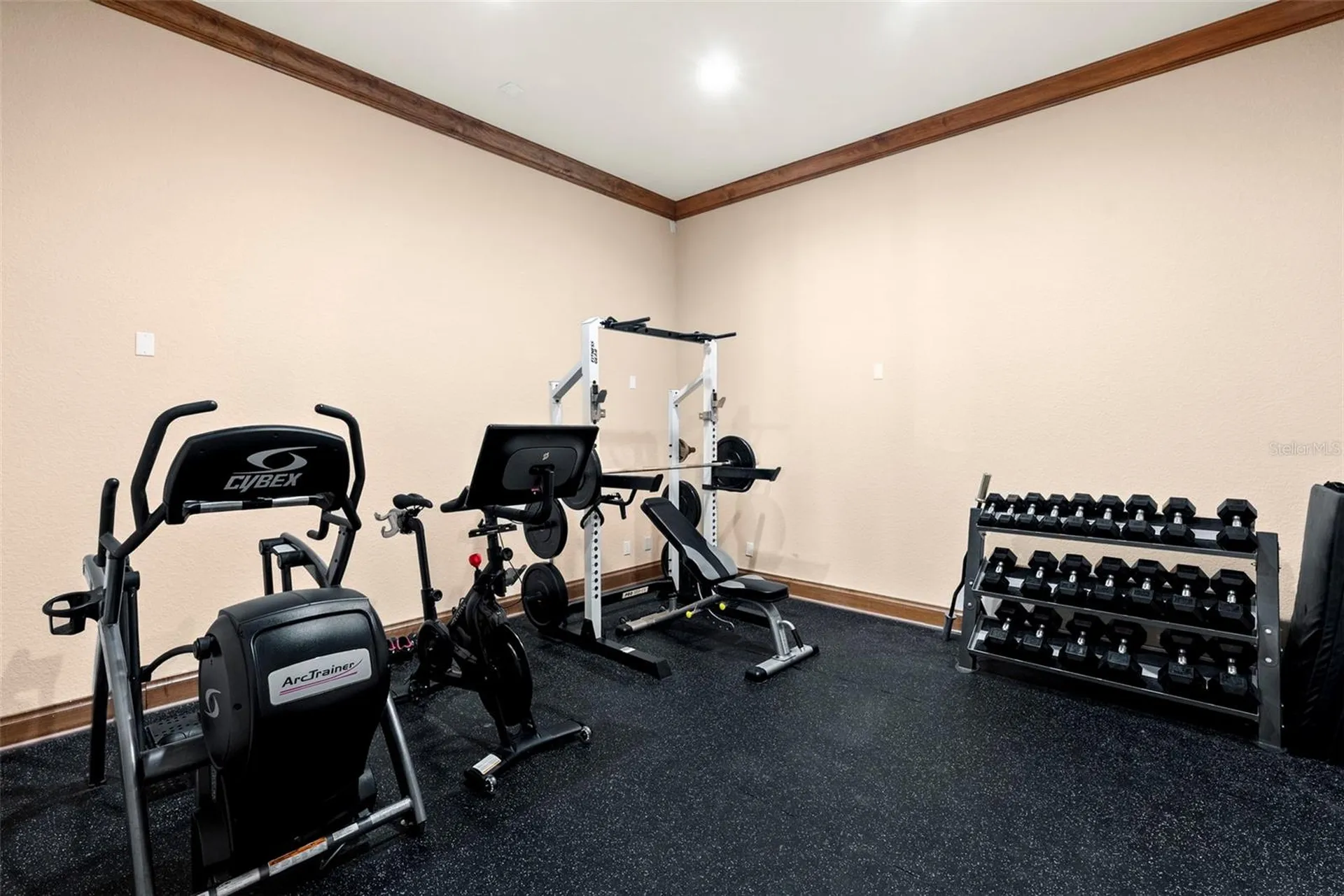 9902 Menander Wood Court Odessa FL 33556