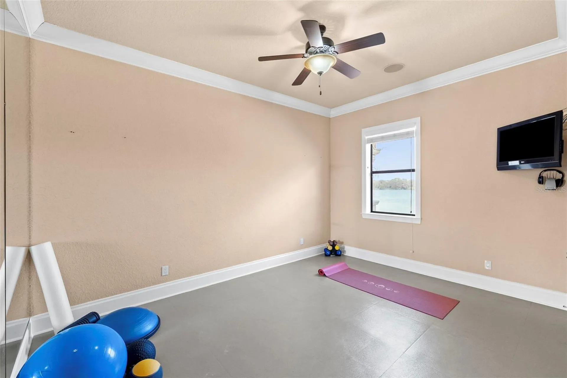 9902 Menander Wood Court Odessa FL 33556