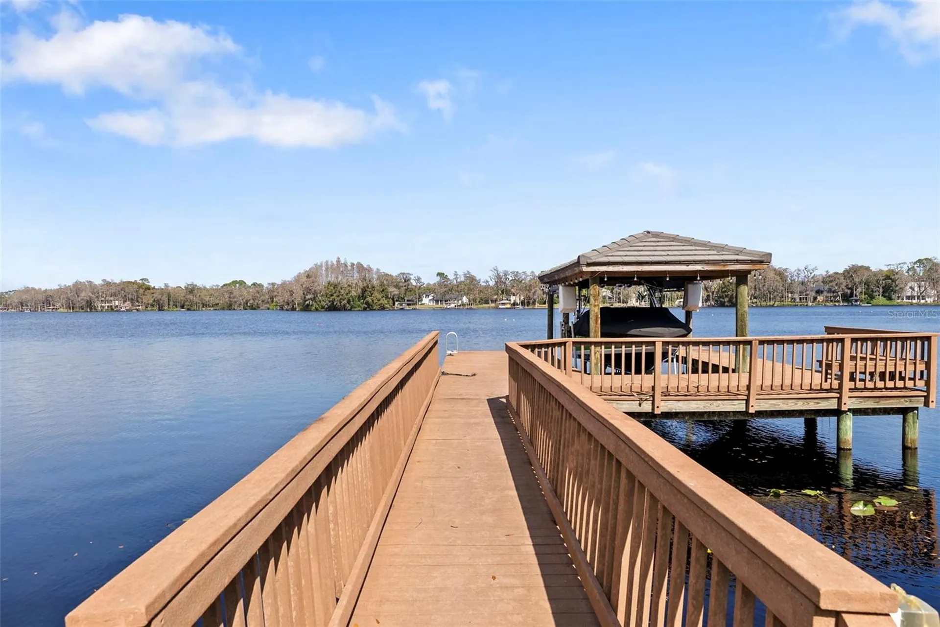 9902 Menander Wood Court Odessa FL 33556