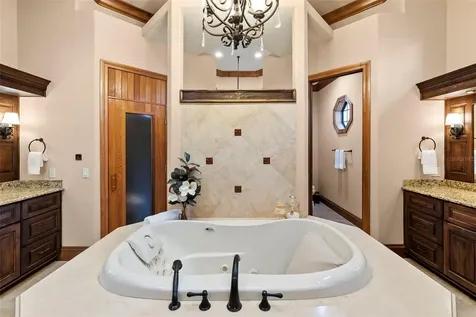 9902 Menander Wood Court Odessa FL 33556