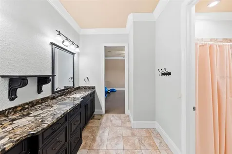 9902 Menander Wood Court Odessa FL 33556