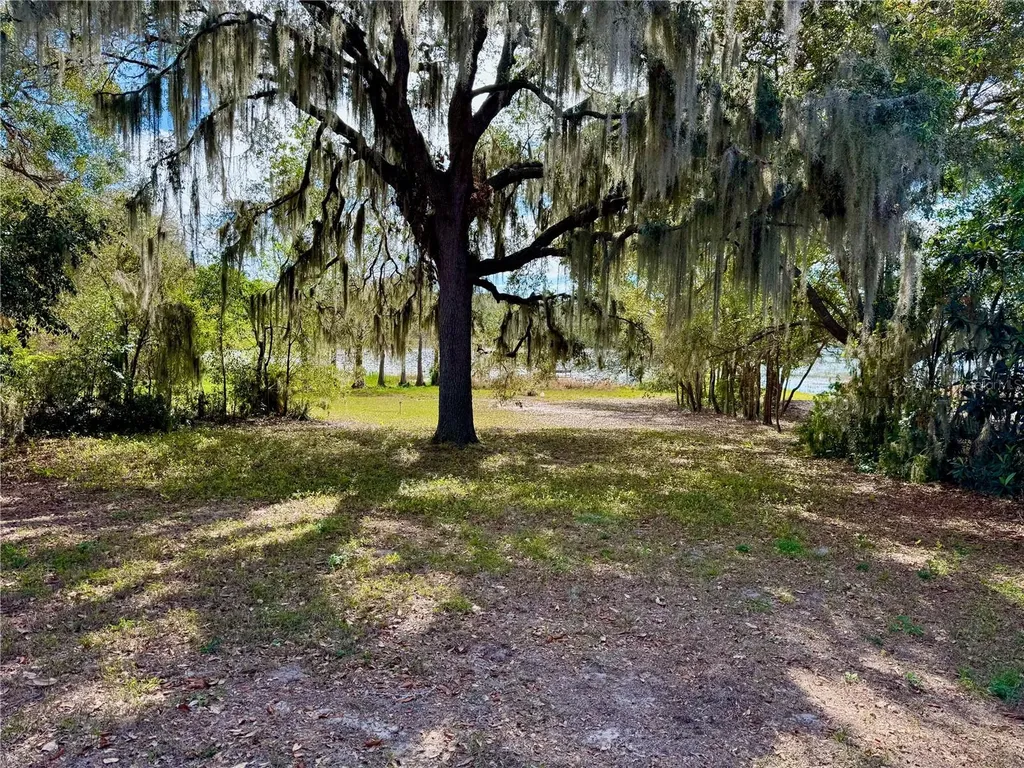 13145 Plum Lake Circle Minneola FL 34715