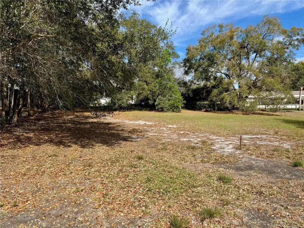 13145 Plum Lake Circle Minneola FL 34715