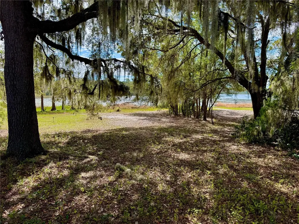 13145 Plum Lake Circle Minneola FL 34715