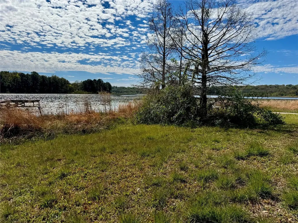 13145 Plum Lake Circle Minneola FL 34715