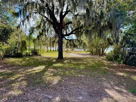 13145 Plum Lake Circle Minneola FL 34715