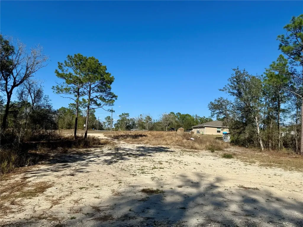 47 Bahia Court Track Ocala FL 34472