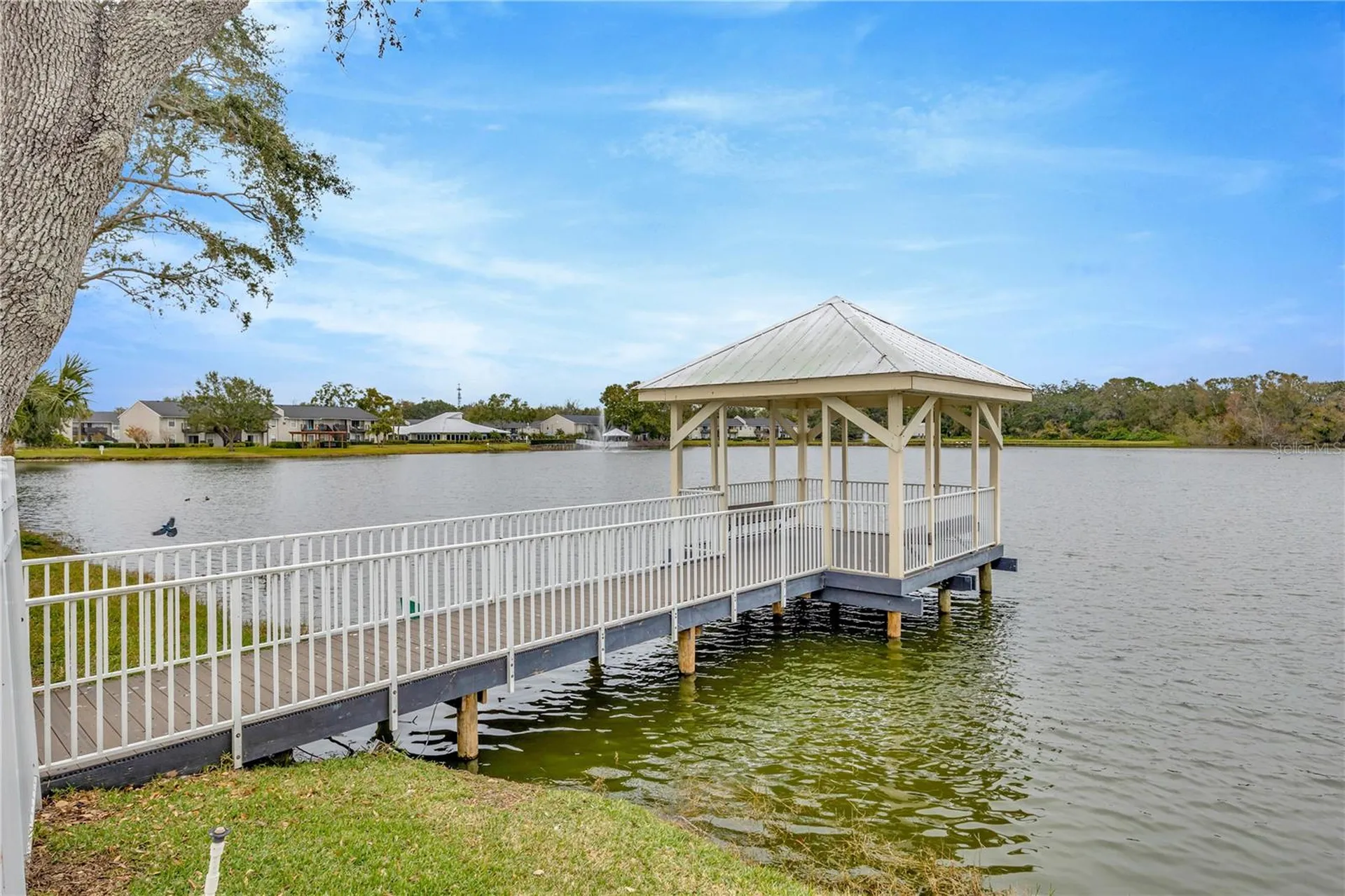 308 Lake Parsons Green Brandon FL 33511