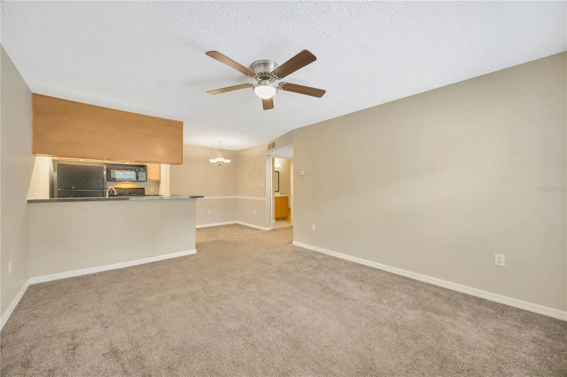 308 Lake Parsons Green Brandon FL 33511