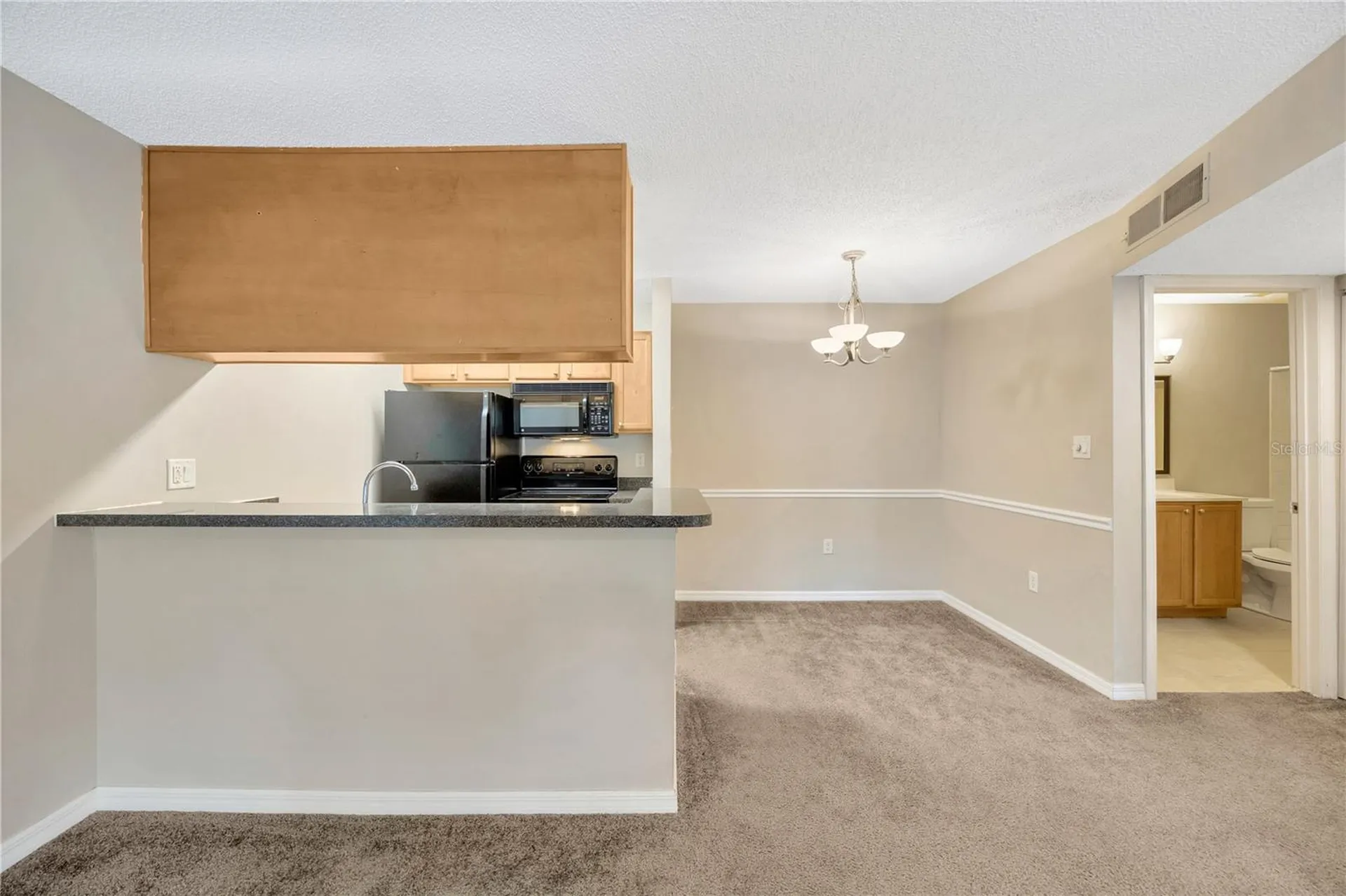 308 Lake Parsons Green Brandon FL 33511