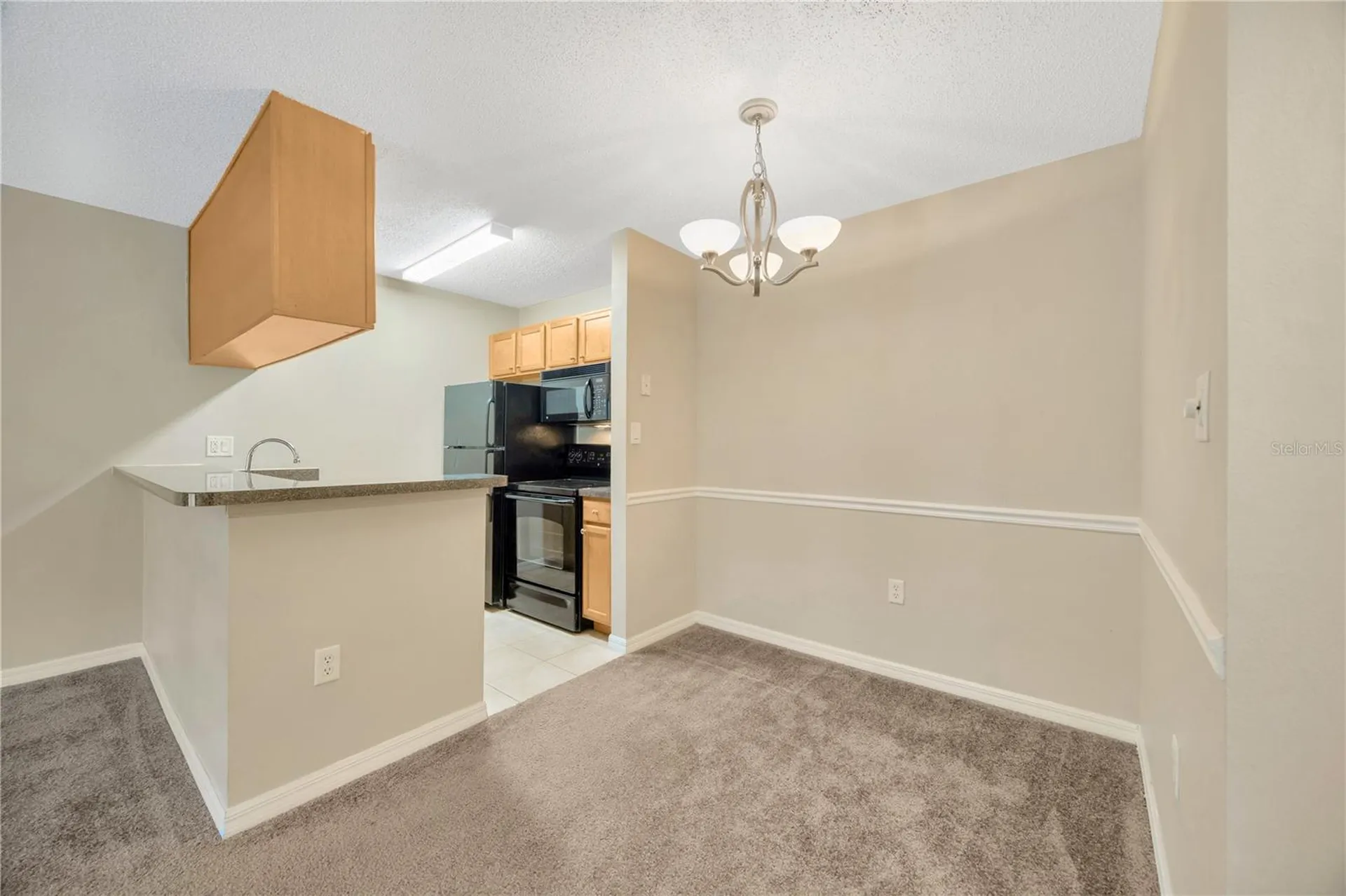 308 Lake Parsons Green Brandon FL 33511