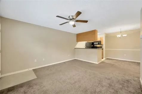 308 Lake Parsons Green Brandon FL 33511