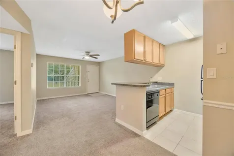308 Lake Parsons Green Brandon FL 33511