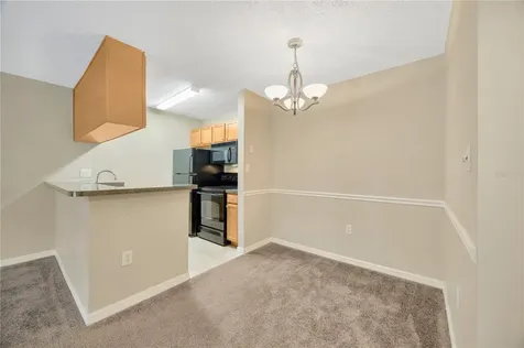 308 Lake Parsons Green Brandon FL 33511