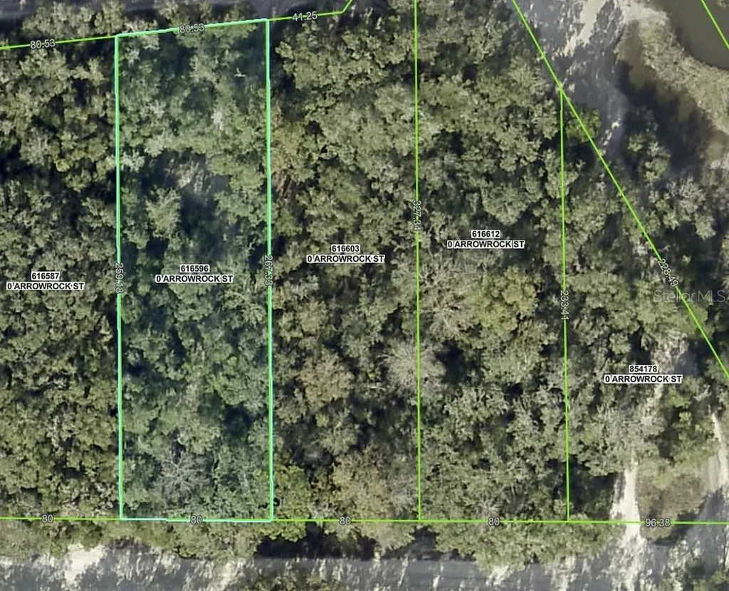 34085 Arrowrock Street Webster FL 33597