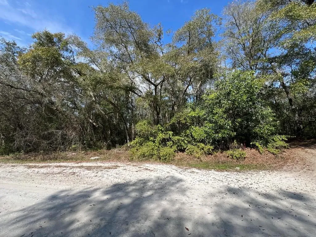 34085 Arrowrock Street Webster FL 33597