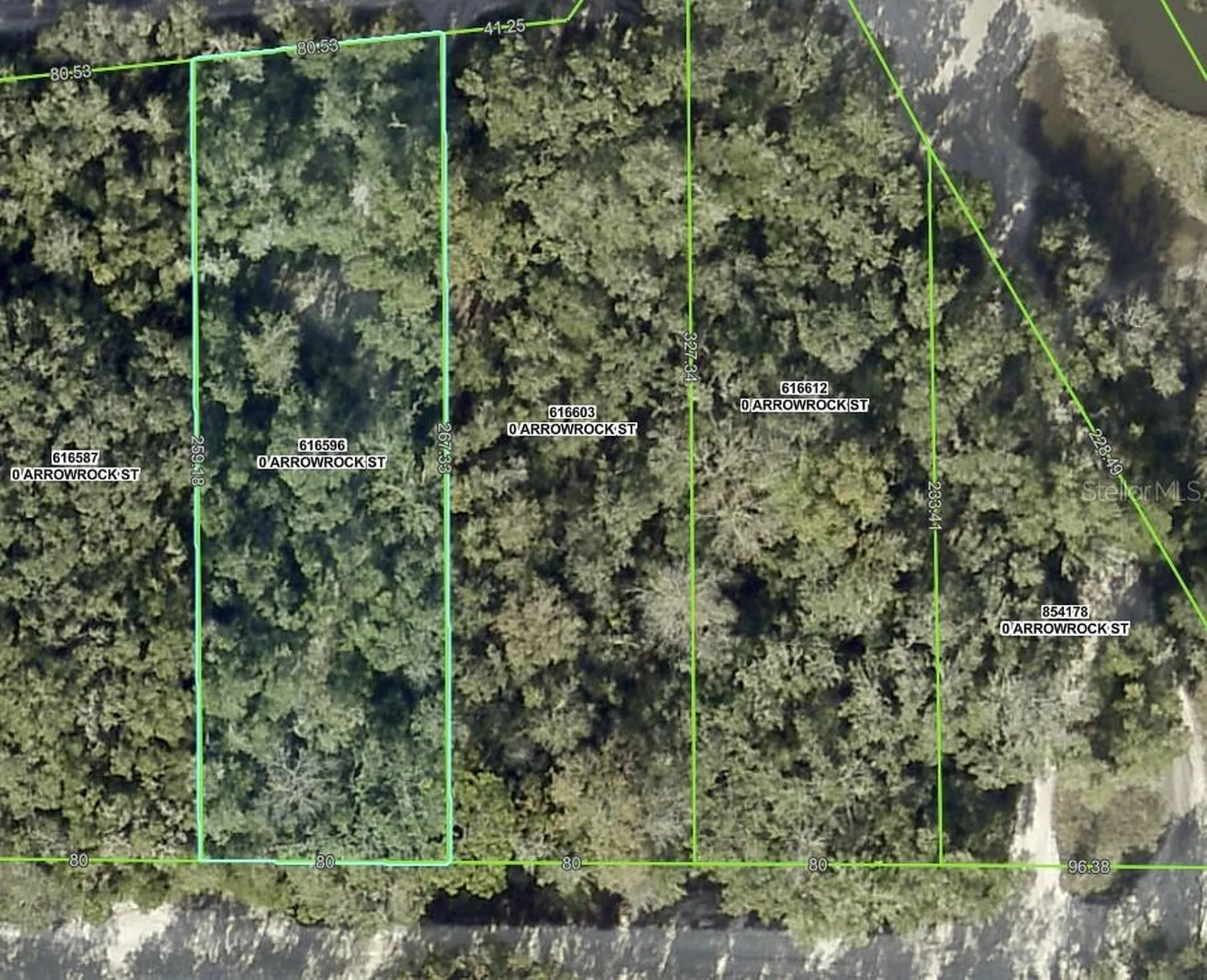 34085 Arrowrock Street Webster FL 33597