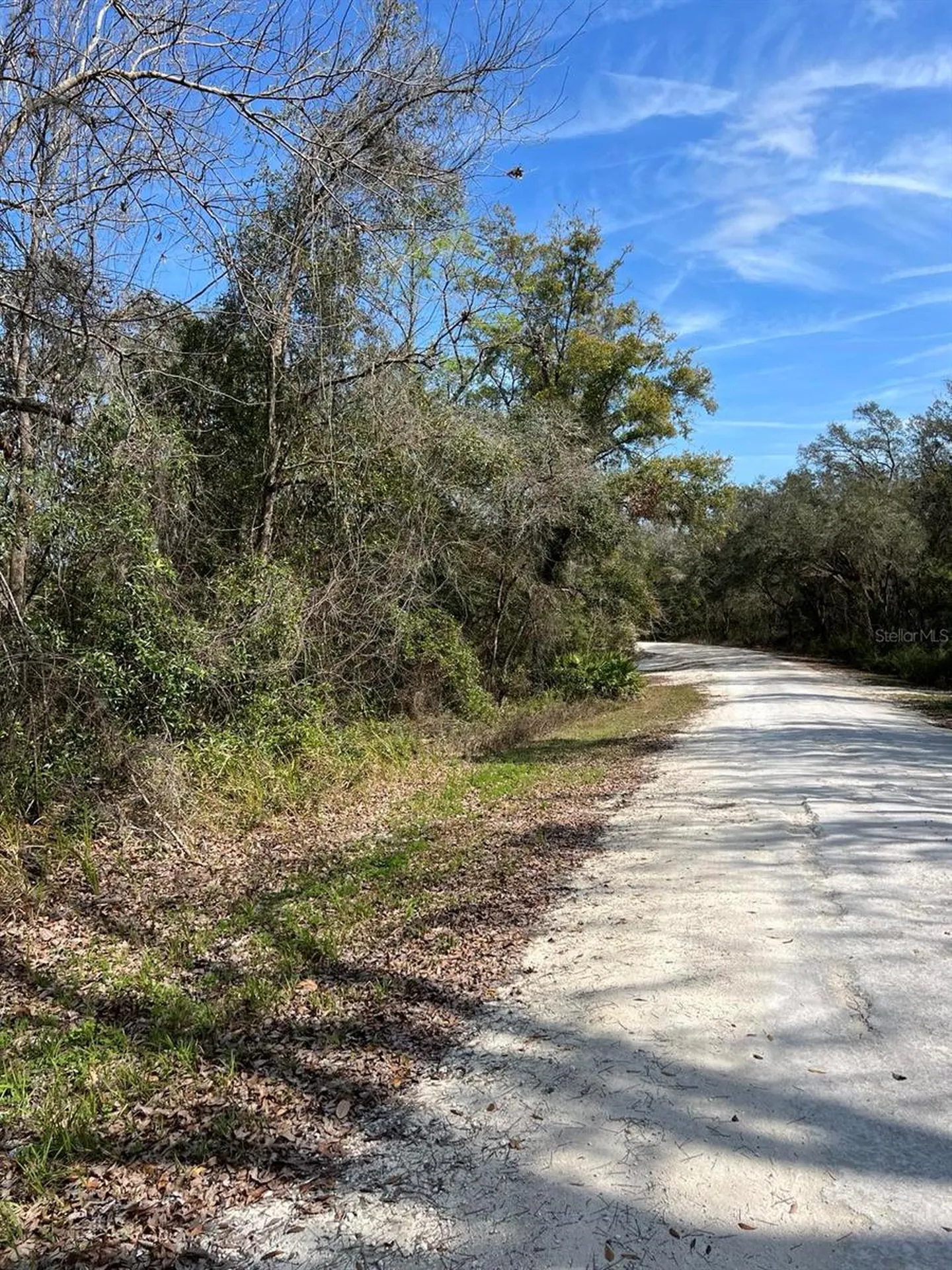 34085 Arrowrock Street Webster FL 33597